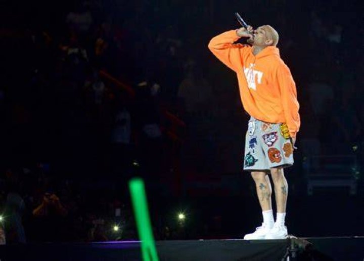 Chris Brown's Mother Shook Fans On IG With Ageless Selfie Urban Islandz