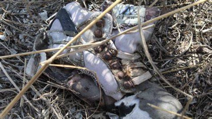 Human remains found in 1984 identified as youngest known victim of
