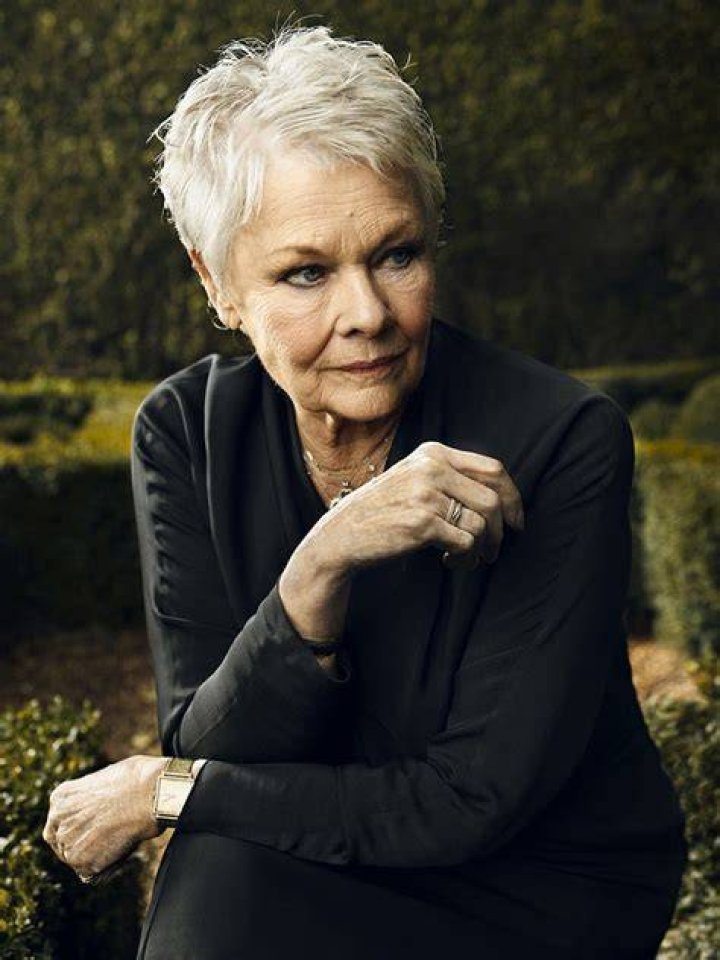 The Vote Judi Dench to star with daughter in polling station play