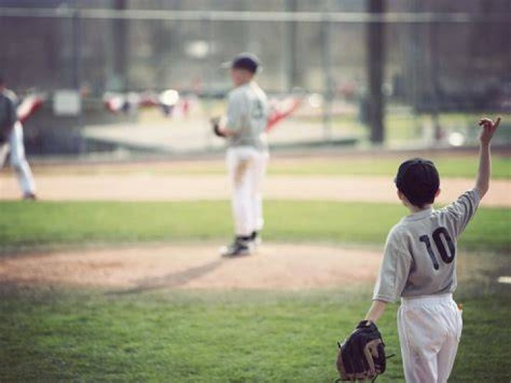 Unveiling The Secrets Of Baseball Success